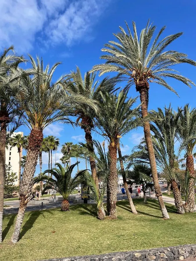 Las Piteras Apartments Arona  Spain